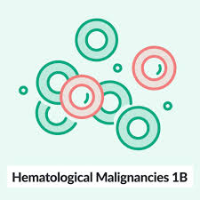 Myelodysplastic Syndromes Amboss