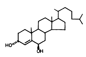 Image result for Strychnos usambarensis