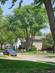 Rexroad Tree Service