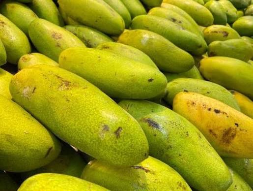 Mangga Golek