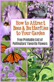 Check spelling or type a new query. How To Attract Pollinators To Your Garden Gingham Gardens Butterfly Garden Plants Pollinator Garden Annual Flowers