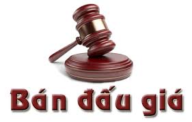 Phê duyệt phương án đấu giá quyền sử dụng đất ở các lô còn lại tại các mặt bằng quy hoạch: điểm dân cư nông thôn khu vực Cống Mã Quang thôn 3, xã Thiệu Trung; Khu dân cư đô thị dọc sông Nhà Lê khu phố Ba Chè; Khu dân cư Cổ Đô, xã Thiệu Trung, tỉnh Thanh Hóa. (Có phương án kèm theo)