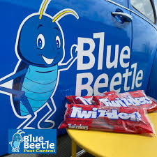 Description:blue bird motel is a hospitality company located in 8920 e us highway 40, kansas city, missouri, united states. Blue Beetle Pest Control Bluebeetlepest Twitter