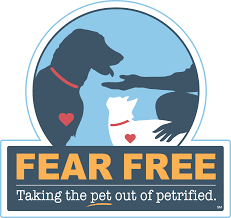 Veterinarian In Lake Worth Fl Kleopfer Veterinary Care Clinic