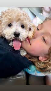 Sunshine & Rosie Doodles NWA