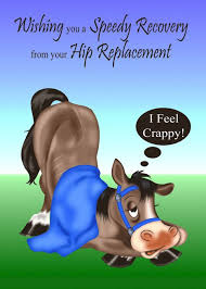 Get Well From Hip Replacement A Sick Horse With A Blanket And Bridle Card Ad Sponsored Sick Replacement Hi Blue Blanket Get Well Custom Holiday Card