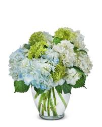 Cary greens is a pet friendly community in cary, nc. Florists In Cary Nc Flower Delivery Cary Nc