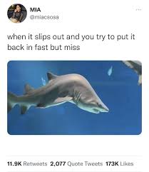 31 Funny Pics And Dope Memes For Your Daily Dose - Funny Gallery