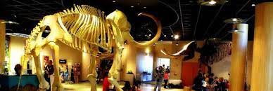 Discover a curated selection of contemporary artworks by artists worldwide 10 Must Visit Museums Galleries In Mesa Arizona