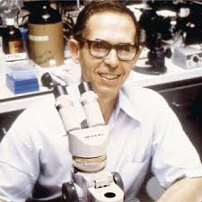 PDF) 50 Years of Renal Physiology from One Man and the Perfused Tubule:  Maurice B. Burg