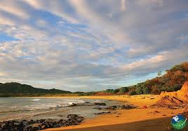 Playa grande is a beautiful and tranquil beach town, located in the north pacific coast in the guanacaste province of costa rica. Playa Grande Costa Rica Surfen Und Naturerlebnis