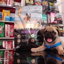 Agroveterinaria Dinamarca