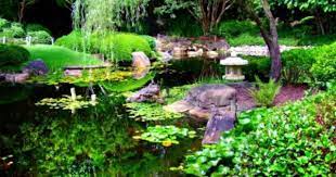 Japanese Gardens Brisbane Grass Wallpaper Id 1213278 Desktop Nexus Nature Japanese Garden Grass Wallpaper Zen Garden