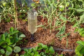 Check spelling or type a new query. Idee De Recup Numero 18 Bouteille Plastique Pour Arroser Les Legumes Gamm Vert