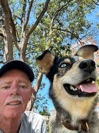 Hi everyone! We are three British girls (22- 26 years old) looking for a  house/pet sitting opportunity in Sydney over the New year and early January  period! We arrive in Sydney on