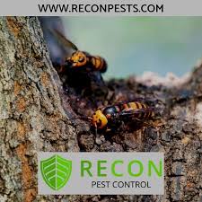We're a company serving the orange county, ca area and keep residents protected from annoying and dangerous pests. Recon Pest Control Pest Control Service San Clemente California 44 Photos Facebook
