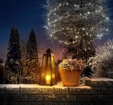Inspire your outdoor space upgrade, be it big or small, whether you're on a budget or looking for the most modern looks for after dark. Festive Garden Design Ideas Tds