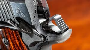 Image result for Light Buckskin 1990 Colt