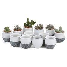 This stunning piece will look great in your entryway or living room. 2 5 Inch Small Ceramic Succulent Planter Pots With Drainage Hole Set Of 12 Snowflakes Glazed Porcelain Handicraft As Gift Buy Reindeer Planter Flower Tower Planter Cheap Ceramic Flower Pots And Planter Product On Alibaba Com