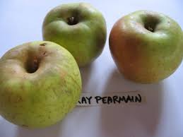 Maybe you would like to learn more about one of these? Gray Pearmain Out On A Limb Apples