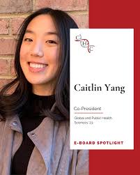 Cayuga Healthcare Consulting