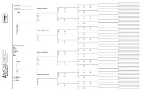 Seven Generation Ancestor Chart Buy Online See Prices