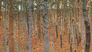 It is expertly handcrafted with care in the usa. Gustav Klimt And His Love For Trees In Paintings Dailyartmagazine Com Art History Stories