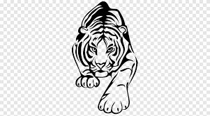 Eso sí, hay que dejar claro que esta. Tigre Libro Para Colorear Leon Nino Gato Tigre Blanco Mamifero Png Pngegg