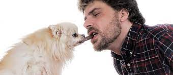My Dog Ate Chocolate And He Was Fine So What S The Big Deal Office For Science And Society Mcgill University