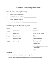 Directional terms orientation and directional terms anatomy from anatomical terms worksheet answers, image source: Anatomical Terminology Worksheet Fill In The Blank Completing The