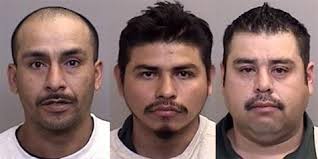 Mendocino County Today: Sunday, April 23, 2017