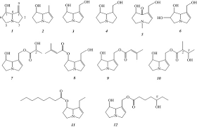 Image result for Crotalaria cylindrocarpa