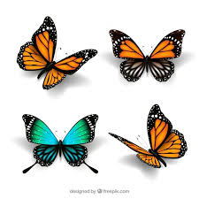 Free Free 329 Cute Butterfly Svg Free SVG PNG EPS DXF File
