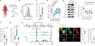 “Copper-Signaling Pathway: A Potential Therapeutic Target for Inflammation”