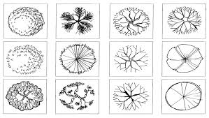 Trees Symbols In Plan Landscape Design Drawings Landscape Design Architectural Trees