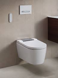 5 Fakten Über Die Toilette | Aquaclean