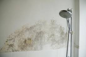 Der Beste Weg Schimmel Im Badezimmer Zu Entfernen