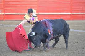 Molde de barro en la primera de la temporada en Ajalvir | Federación  Taurina de Valladolid