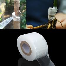 Wrap your vine and tree grafts to keep them tight to prevent drying. Pin Na Nastence Nakupy