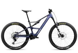 Image result for Orbea knobelii