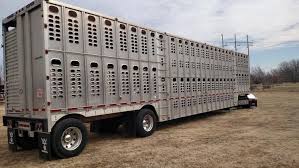 Cattle Trailers For Sale Cattle Trucking Jobs Bull Racks Cattle Trailers Big Rig Trucks Peterbilt Trucks