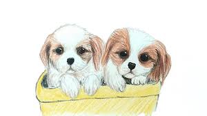 How To Draw Cute Dog Puppies Youtube This tutorial shows the sketching and drawing steps from start to image about art in drawings by ♡queen of hearts♡. how to draw cute dog puppies