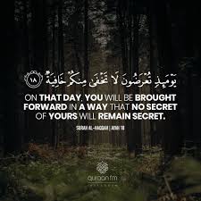 Feel free to leave a comment and i'm happy to hear from you. Quranic Quotes Wisdom 200 Beautiful Quran Quotes Verses Surah With Pictures Dogtrainingobedienceschool Com