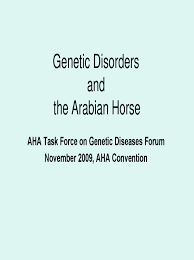 Genetic Disorders And The Arabian Horse By Hellenic