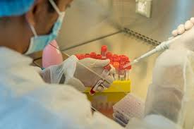 We did not find results for: ÙˆÙƒØ§Ù„Ø© Ø£Ù†Ø¨Ø§Ø¡ Ø§Ù„Ø¥Ù…Ø§Ø±Ø§Øª Ù…Ø®ØªØ¨Ø±Ø§Øª ÙŠÙˆÙ†ÙŠÙ„Ø§Ø¨Ø³ ØªØ·Ù„Ù‚ Ù†ÙˆØ¹Ø§ Ø¬Ø¯ÙŠØ¯Ø§ Ù…Ù† ÙØ­ÙˆØµØ§Øª ÙƒÙˆÙÙŠØ¯ 19 Ù„ÙƒØ´Ù Ø³Ù„Ø§Ù„Ø© Ø¯Ù„ØªØ§