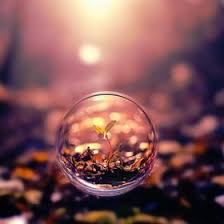 Skbucks™ are not transferable and may not be sold, resold, exchanged or bartered. Sk Attemptall Profil Pinterest