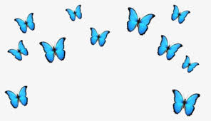 Sakura butterfly blue aesthetic decoration png pig year. Blue Butterfly Png Images Free Transparent Blue Butterfly Download Kindpng