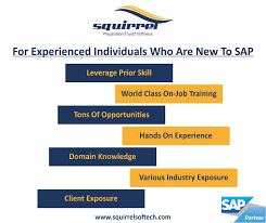 For Experienced Individuals Who Are New To Sap Are You Passionate About Learning Analyzing And Implementa Domain Knowledge Job Training Job Opportunities