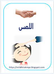 ملفات رقمية ملف بالصور عن سلامة الحواس teaching school doors teach arabic
