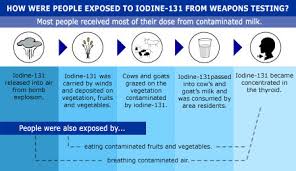 radioactive fallout from global weapons testing home cdc rsb